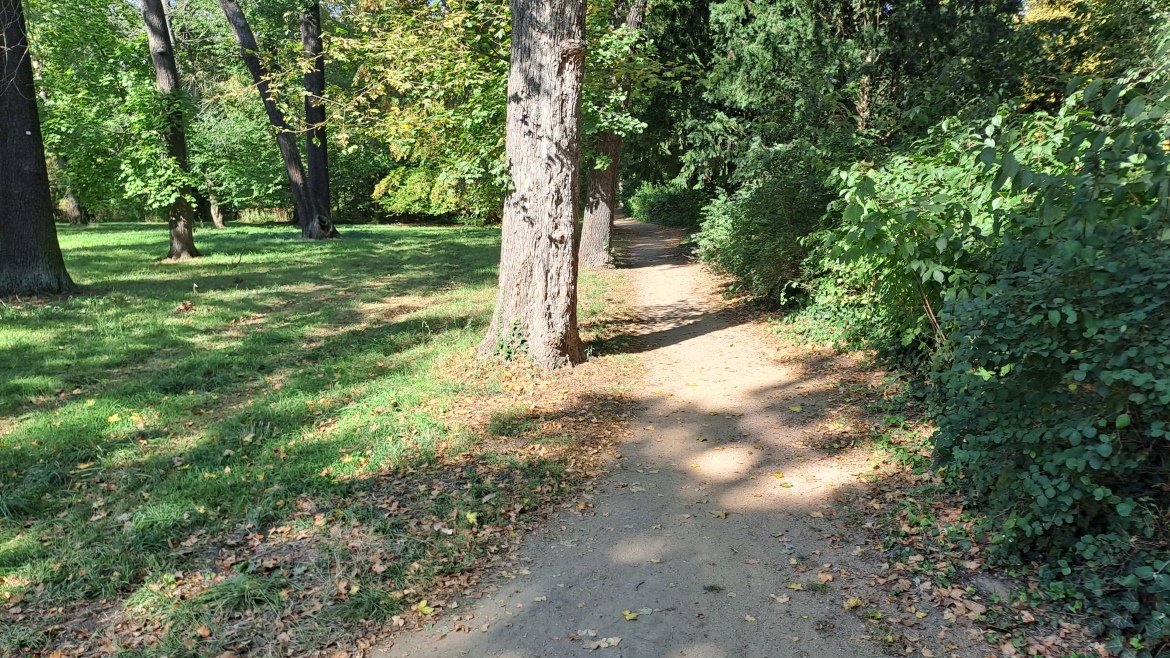 Pflegemanagement Georgengarten Dessau